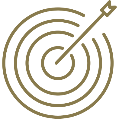 Vision Icon